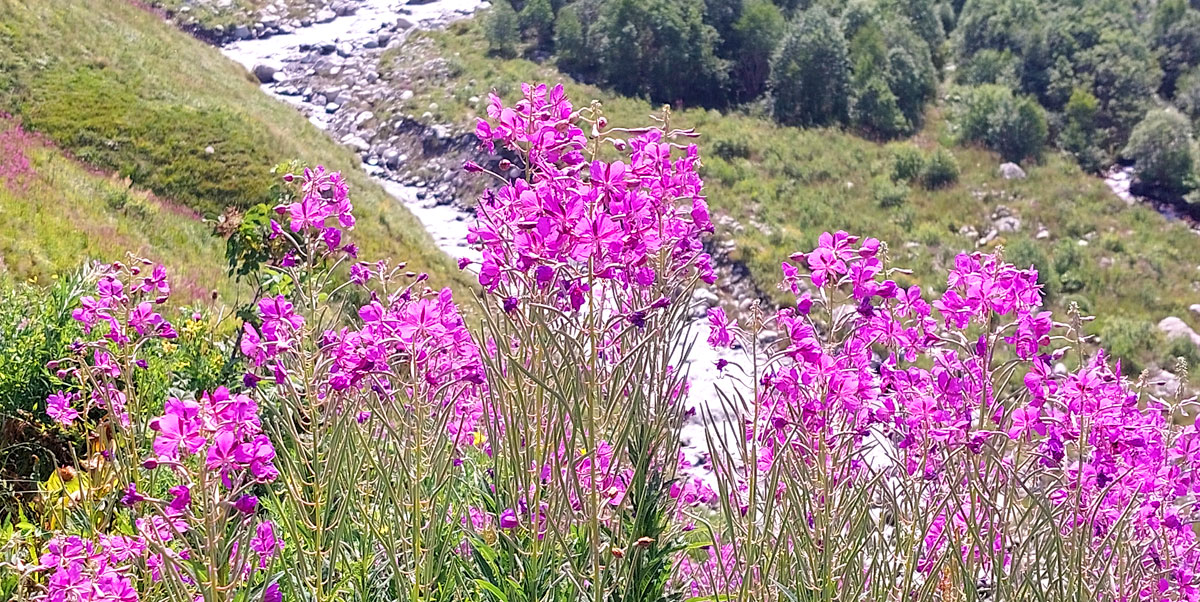 Треккинг в Верхней Балкарии (11/60)