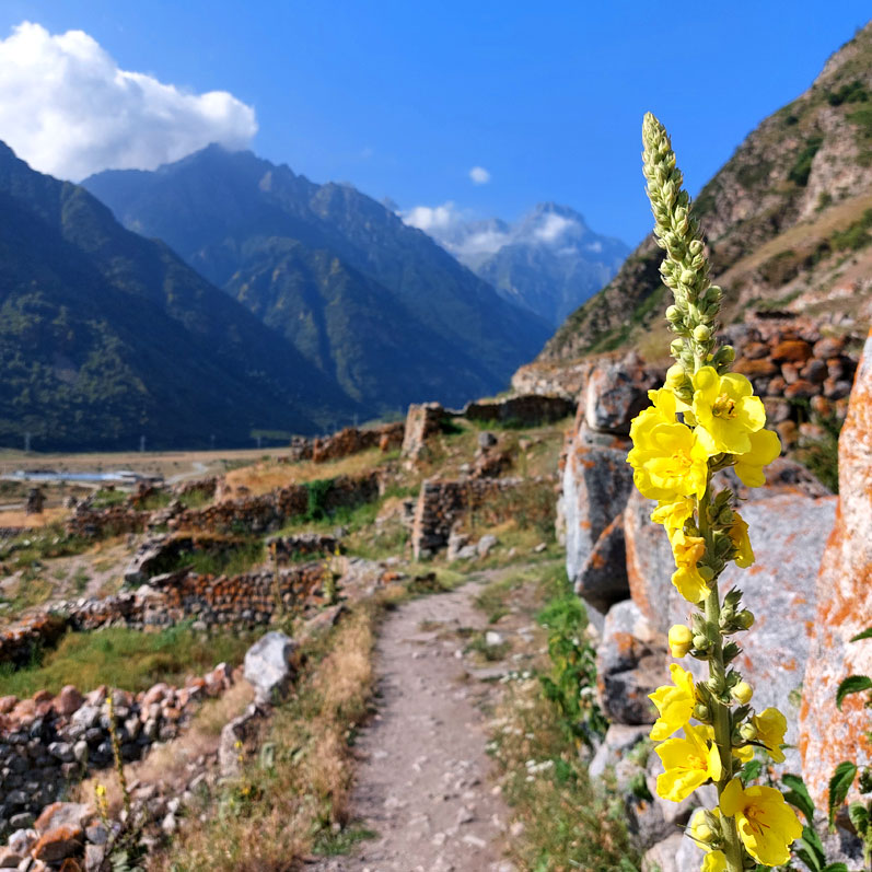 Треккинг в Верхней Балкарии (39/60)