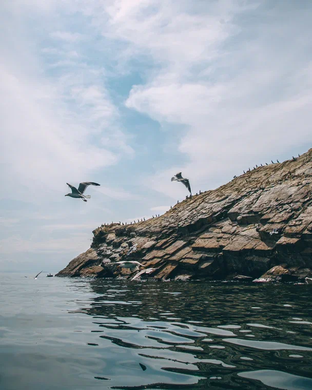 Ольхон + Кругобайкальская железная дорога (3/15)