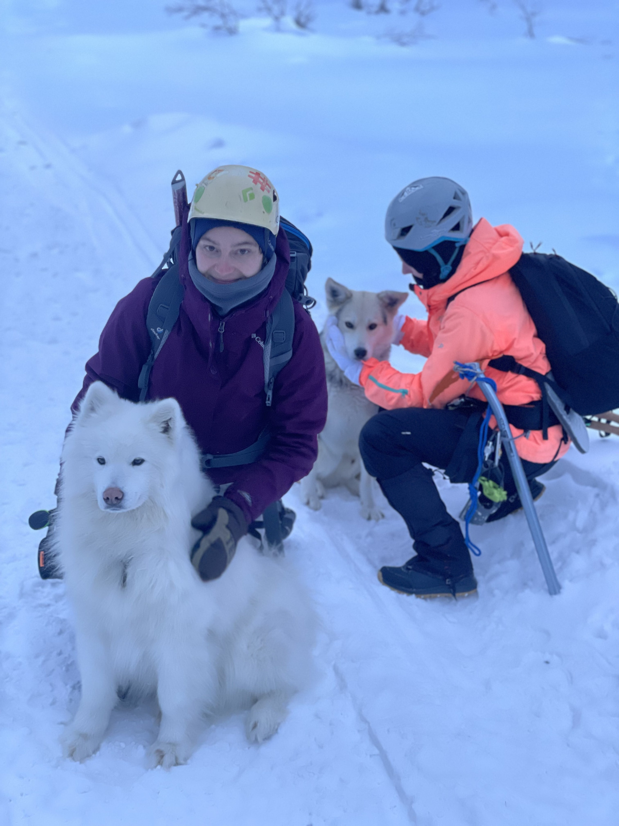 Знакомство с альпинизмом в ущелье Актру, Алтай 7 дней (17/61)