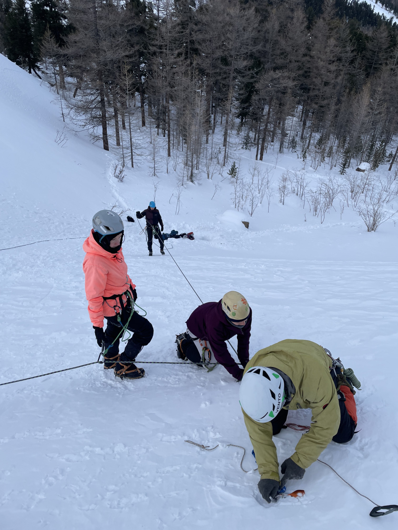 Знакомство с альпинизмом в ущелье Актру, Алтай 7 дней (11/61)