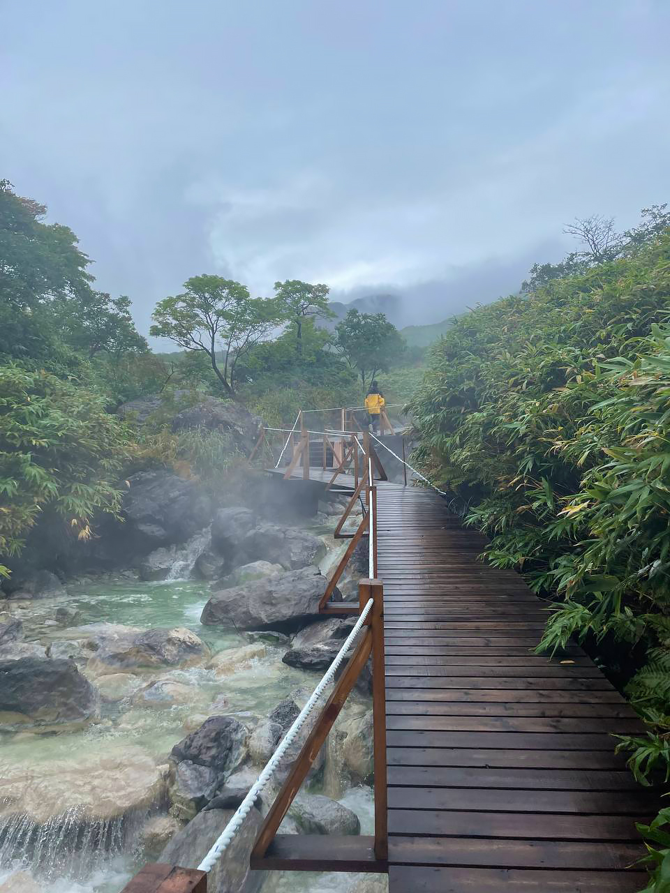 Премиум Сахалин+Итуруп: отдых для балованных - отель Янкито 5 (5/34)