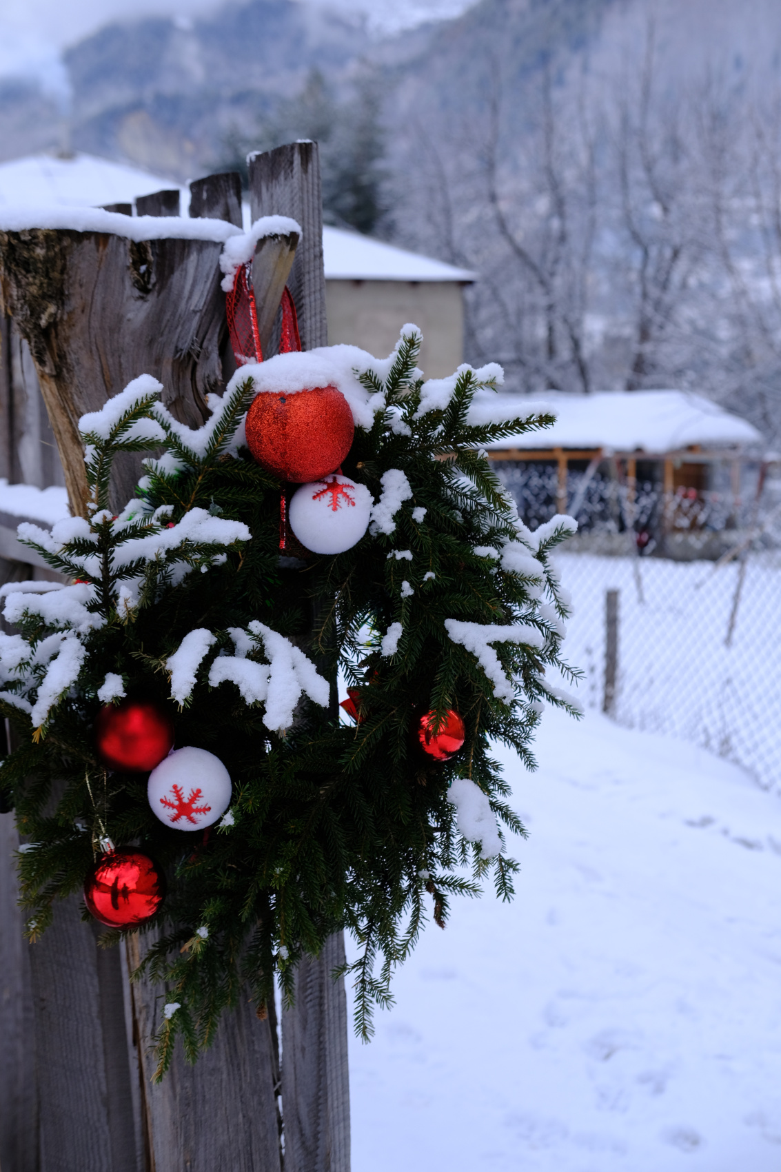 Новогодняя сказка Сванети (5/37)