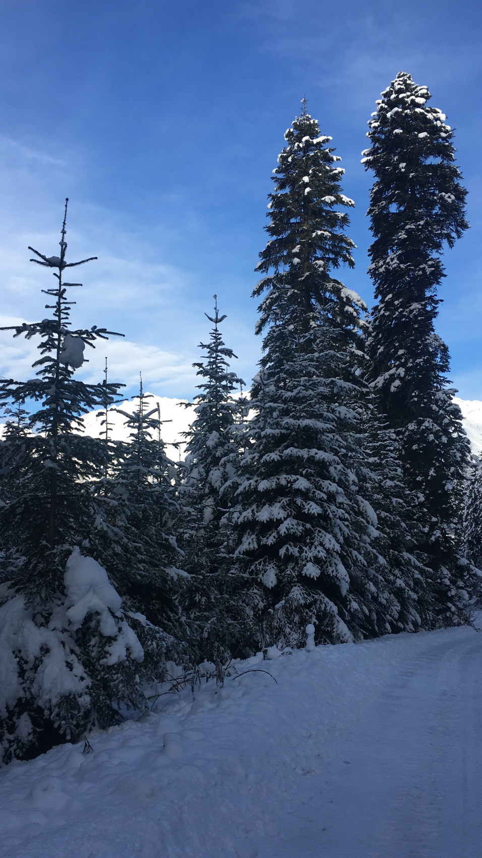 Новогодняя сказка Сванети (13/37)