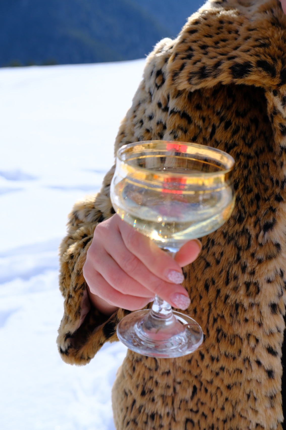 Новогодняя сказка Сванети (11/37)