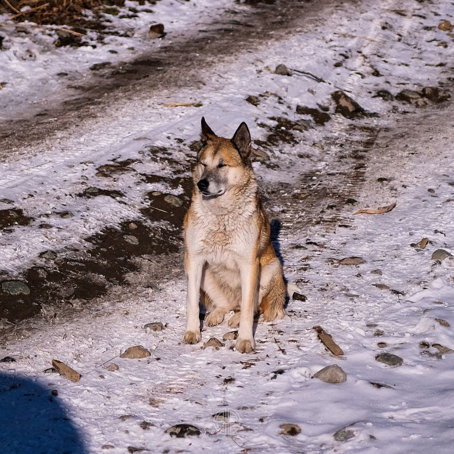 3 Дня Перезагрузки На Алтае (2/32)