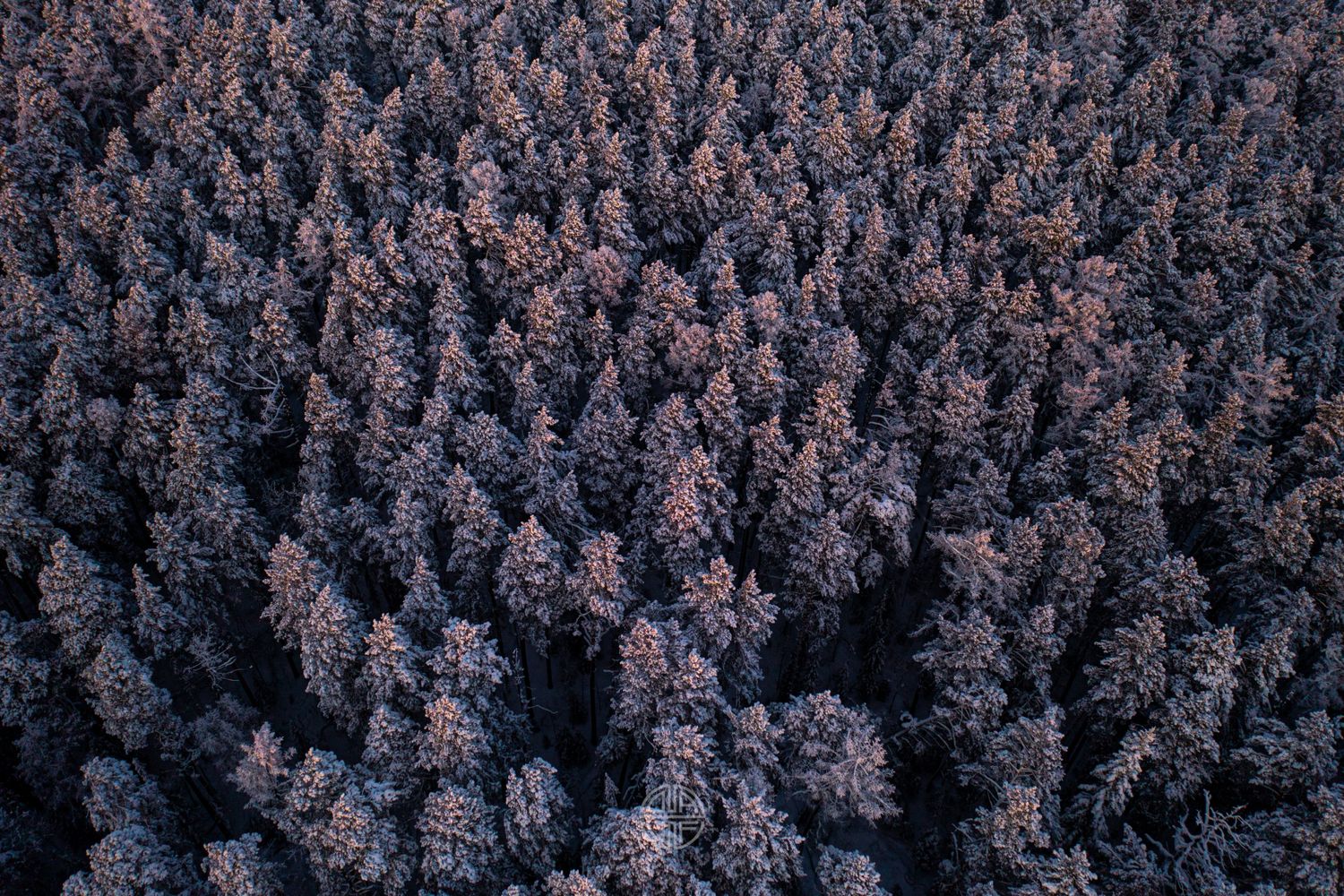 3 Дня Перезагрузки На Алтае (5/32)