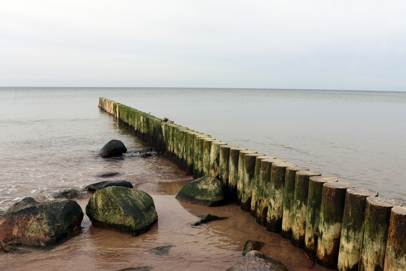 C ночевкой на Куршской: коса + Зеленоградск (10/26)