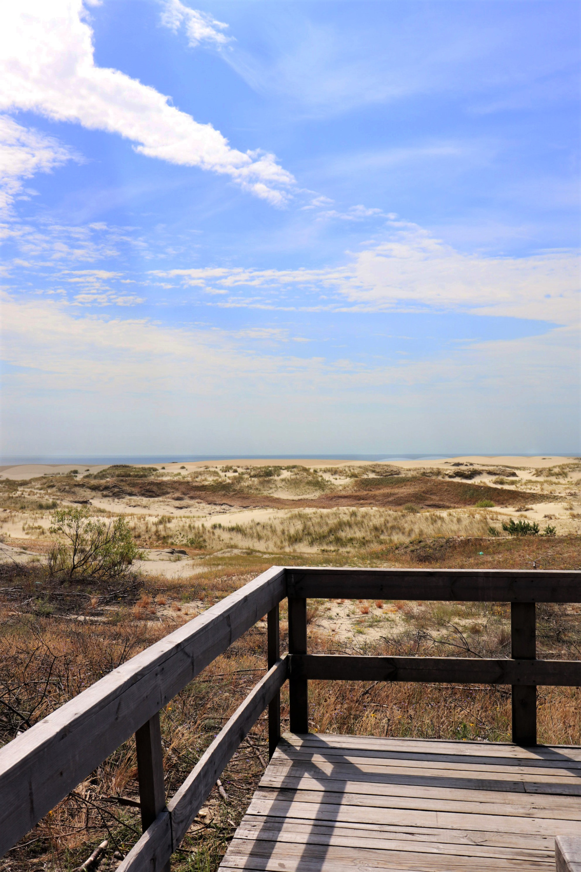 C ночевкой на Куршской: коса + Зеленоградск (12/26)