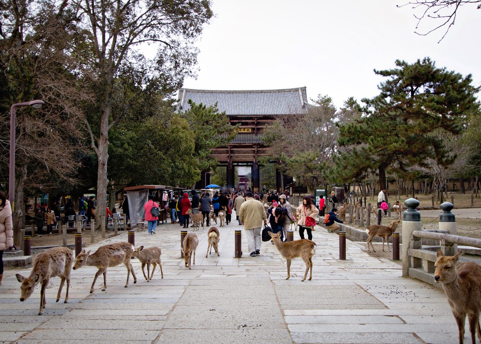 Новогодняя Япония (9/49)