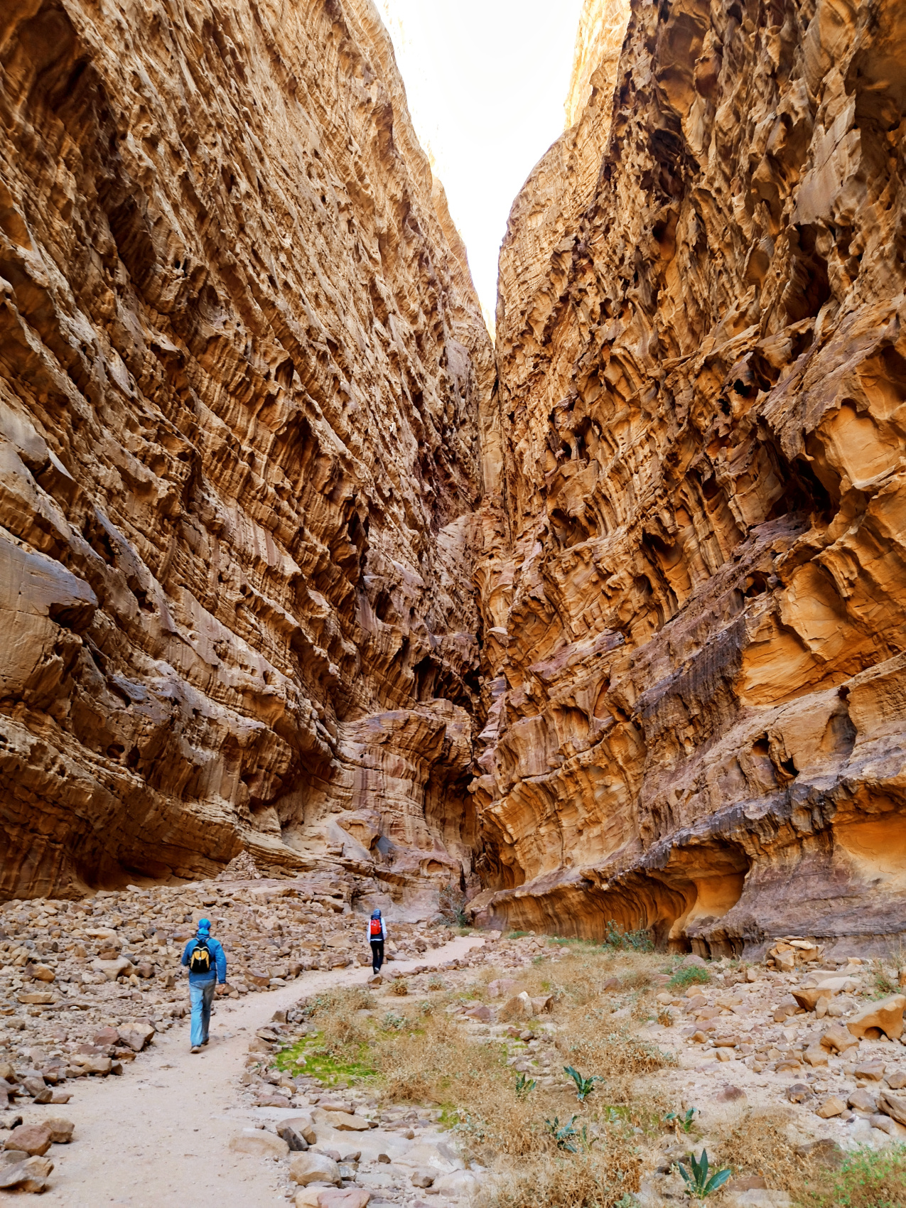 Путешествие Мечты по Иордании! (65/94)