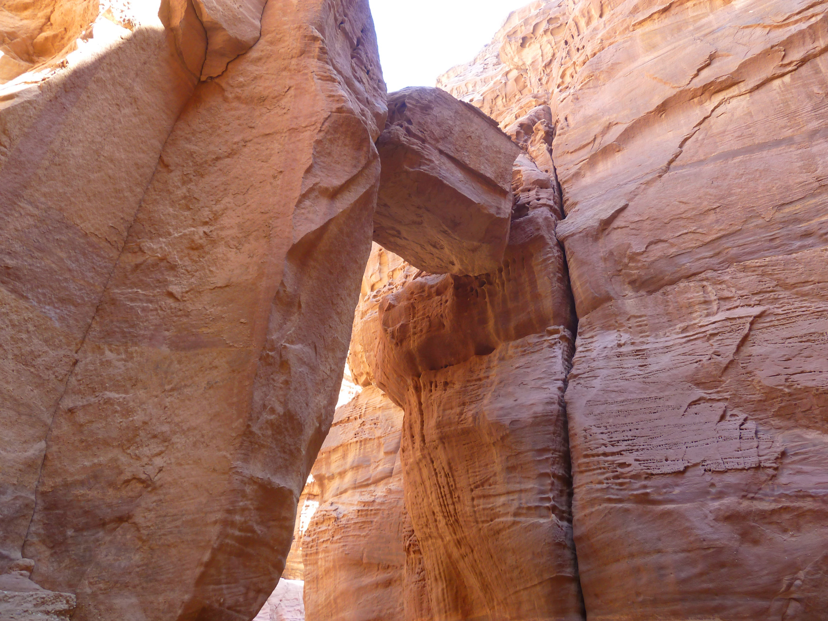 Путешествие Мечты по Иордании! (24/94)