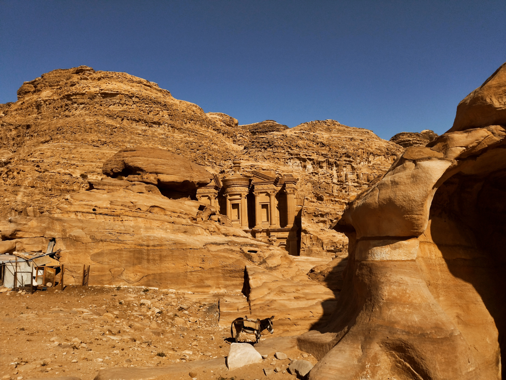 Путешествие Мечты по Иордании! (40/94)