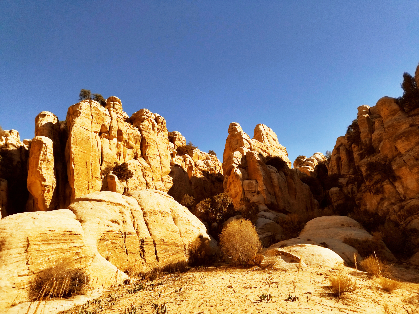 Путешествие Мечты по Иордании! (13/94)