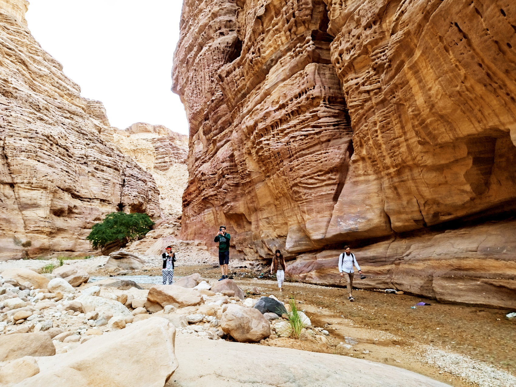 Путешествие Мечты по Иордании! (26/94)