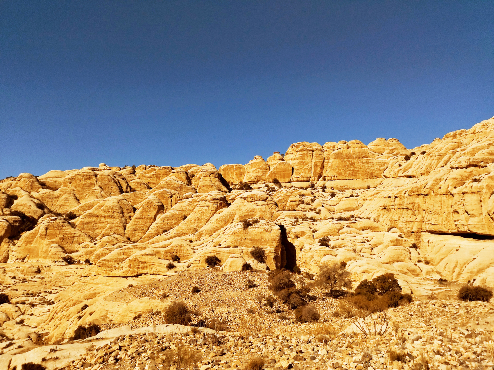 Путешествие Мечты по Иордании! (14/94)