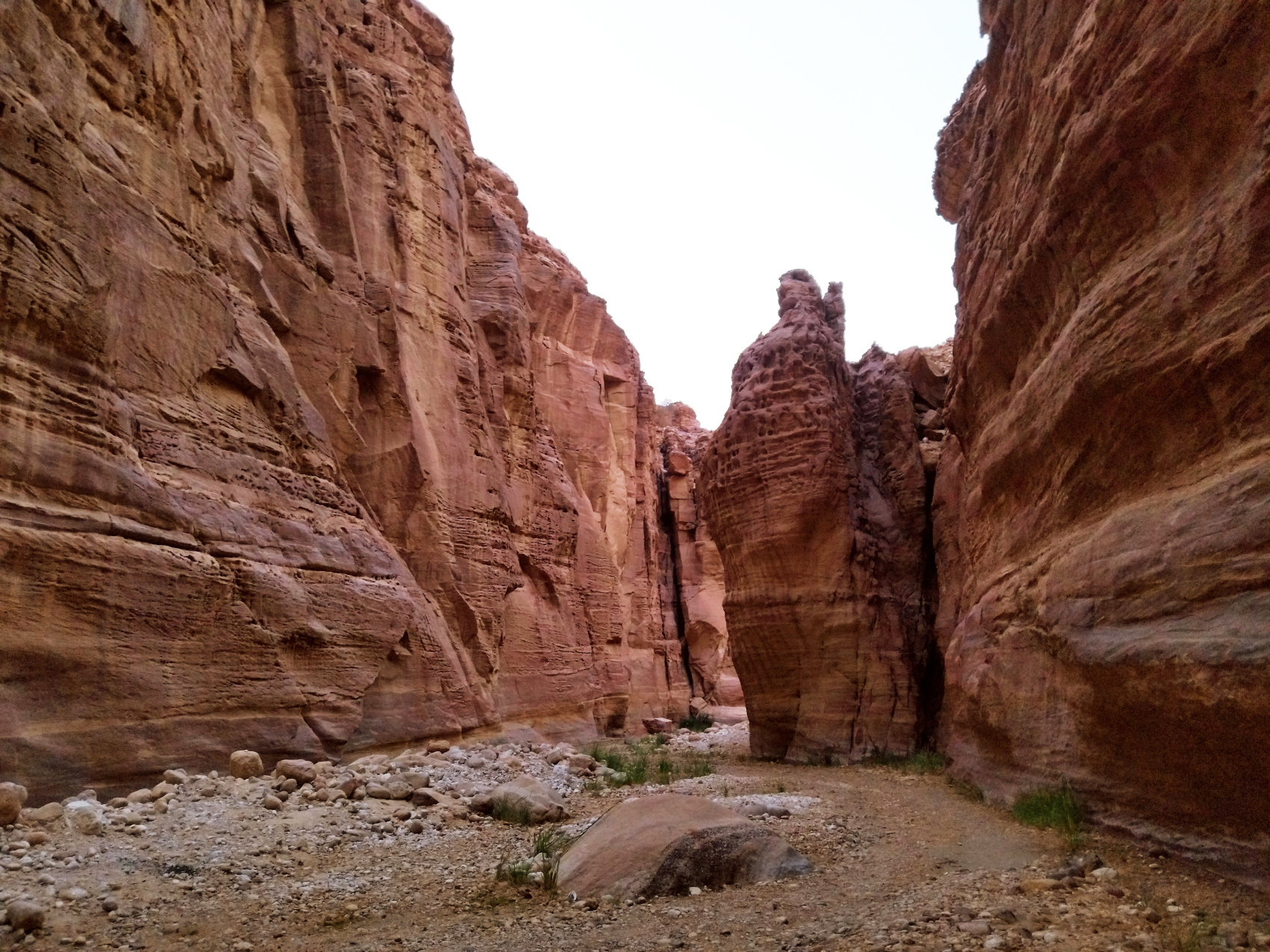 Путешествие Мечты по Иордании! (22/94)