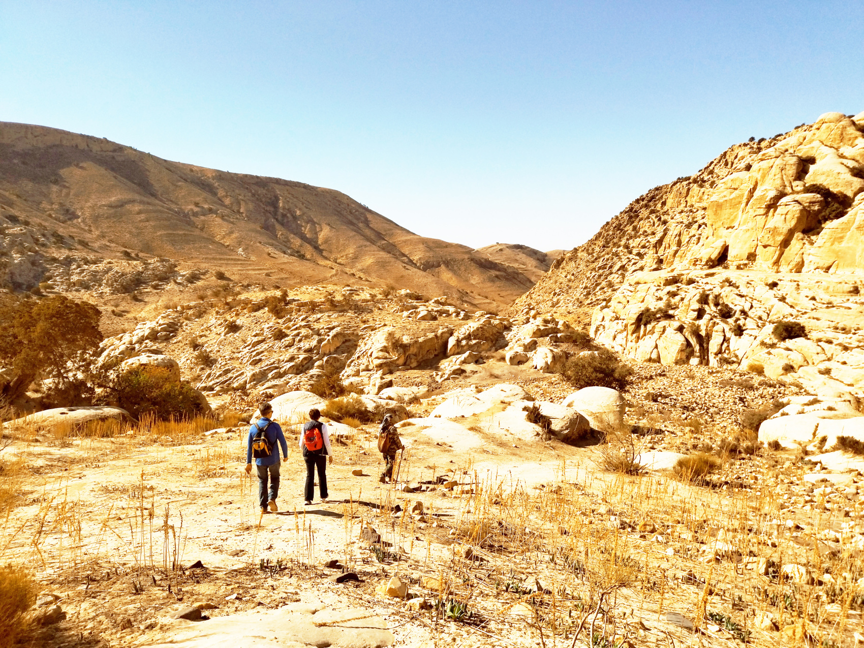 Путешествие Мечты по Иордании! (16/94)