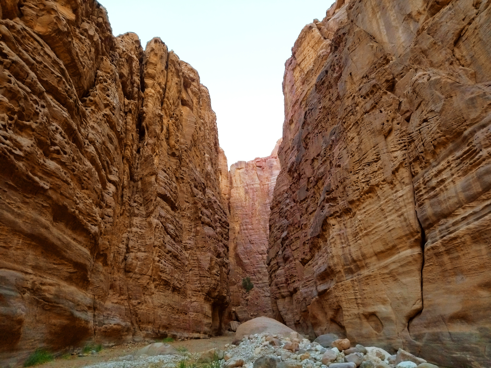 Путешествие Мечты по Иордании! (21/94)