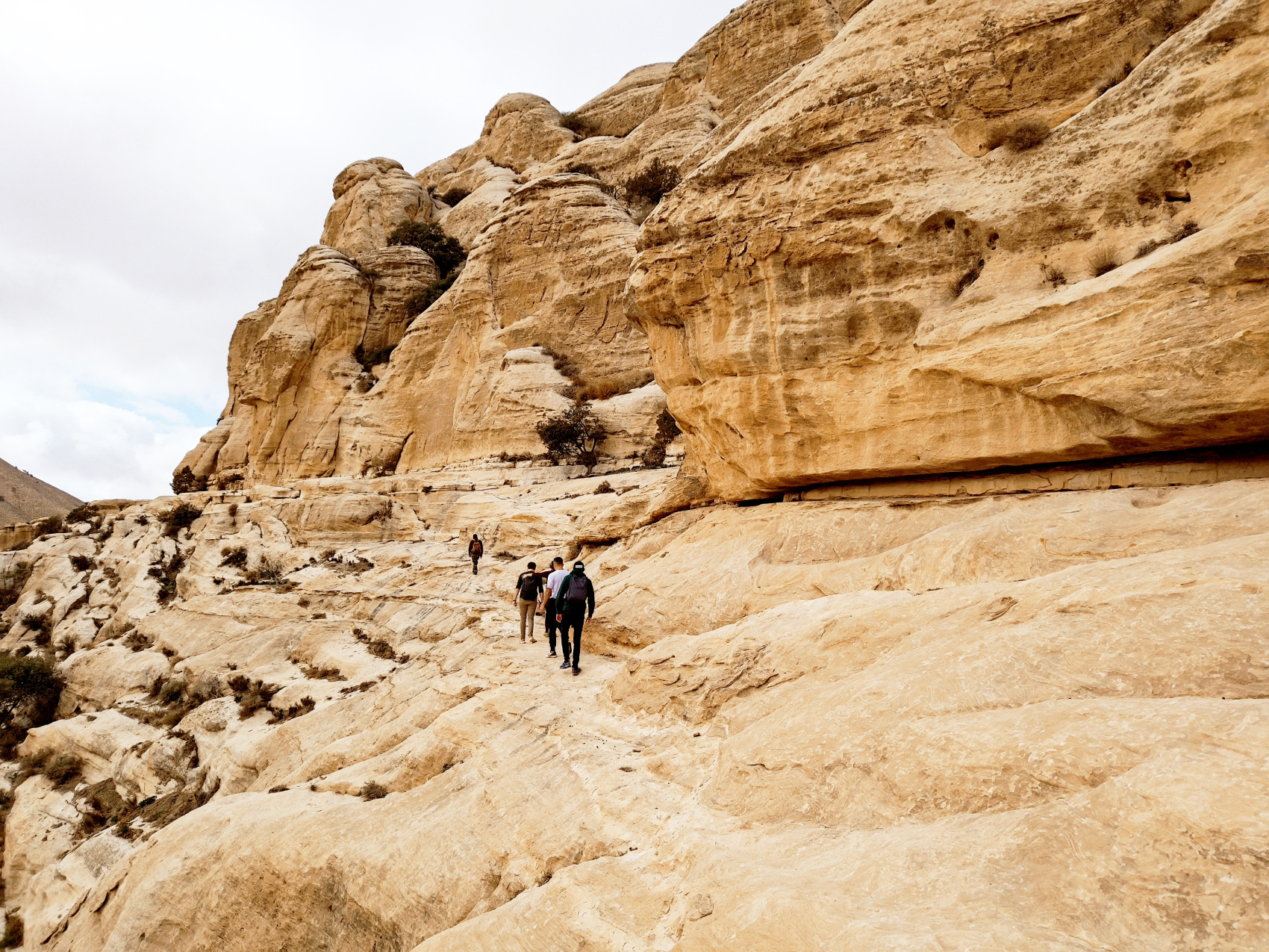 Путешествие Мечты по Иордании! (17/94)