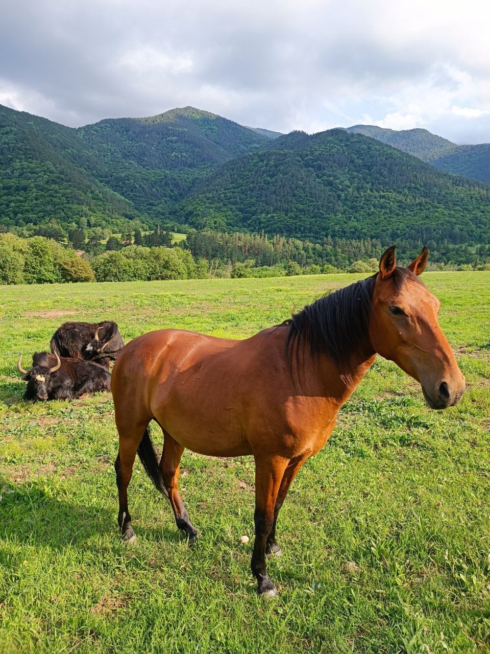 Сказка кавказских гор: Эльбрус, Домбай и Архыз. (13/23)