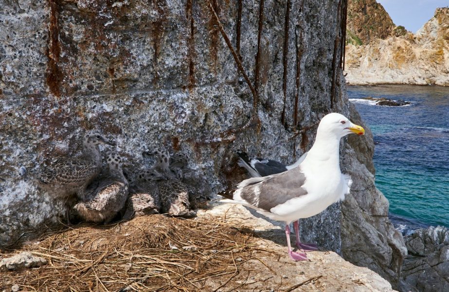 Сахалин+Итуруп 2025 (3/41)