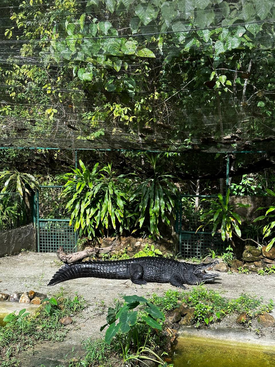 Лангкави, Малайзия: остров и столица, самый комфортный тур! (26/82)
