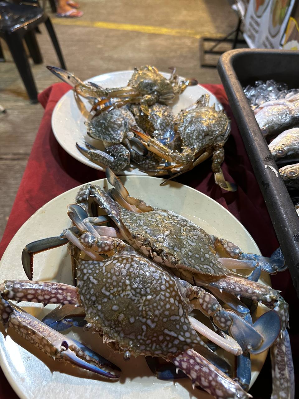 Лангкави, Малайзия: остров и столица, самый комфортный тур! (39/82)