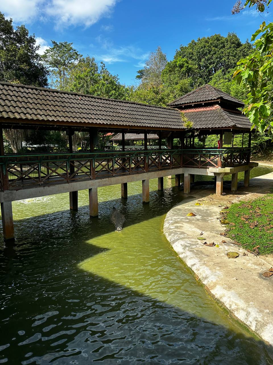 Лангкави, Малайзия: остров и столица, самый комфортный тур! (24/82)