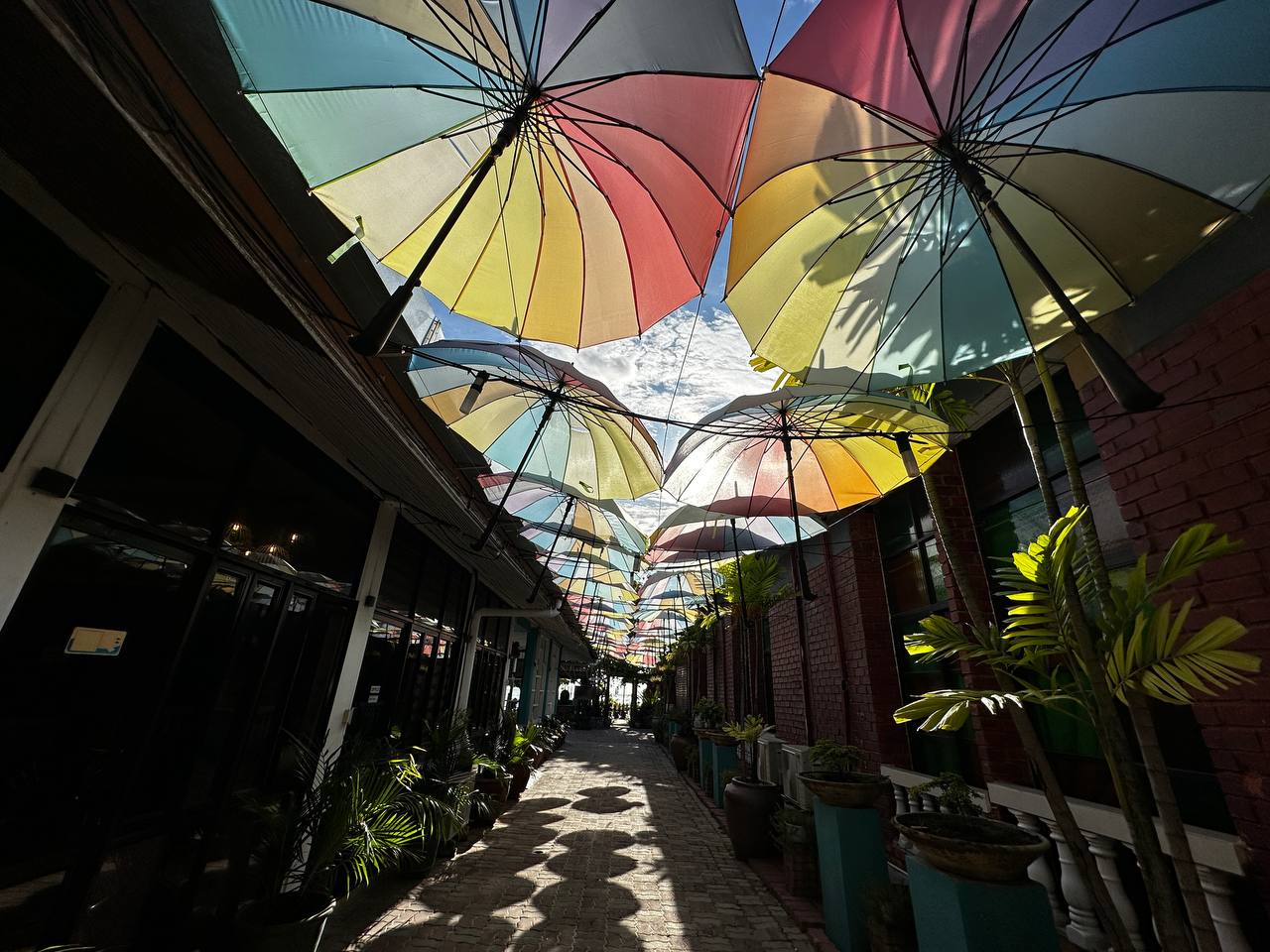 Лангкави, Малайзия: остров и столица, самый комфортный тур! (21/82)