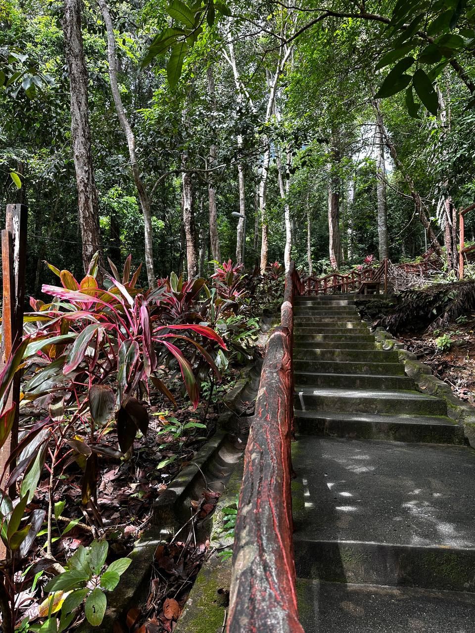 Лангкави, Малайзия: остров и столица, самый комфортный тур! (8/82)