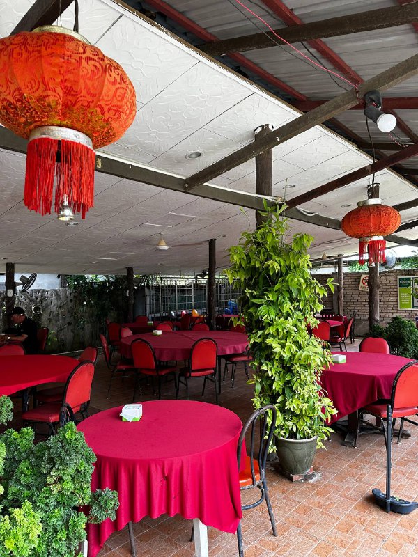 Лангкави, Малайзия: остров и столица, самый комфортный тур! (22/82)