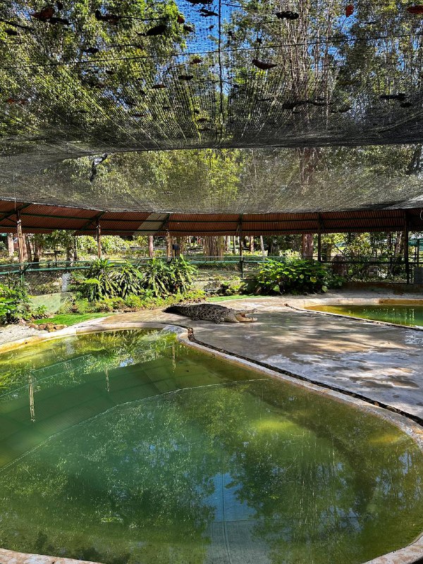 Лангкави, Малайзия: остров и столица, самый комфортный тур! (25/82)