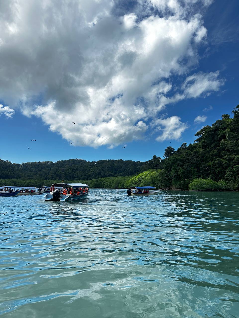 Лангкави, Малайзия: остров и столица, самый комфортный тур! (2/82)