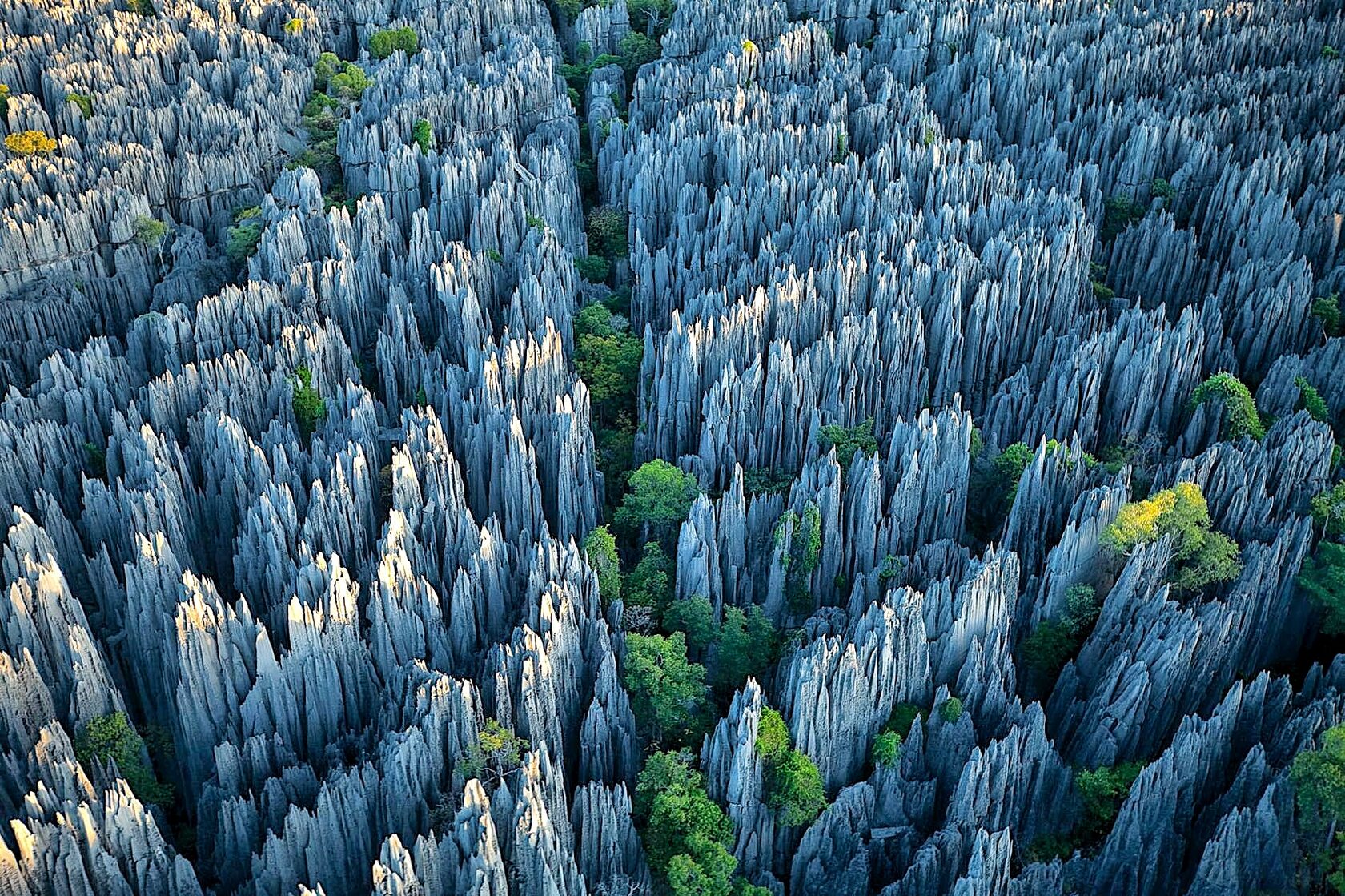 Мадагаскар: киты, пираты, лемуры, мертвецы и каменный лес (5/71)
