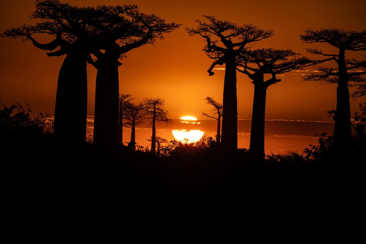 Мадагаскар: киты, пираты, лемуры, мертвецы и каменный лес (9/71)