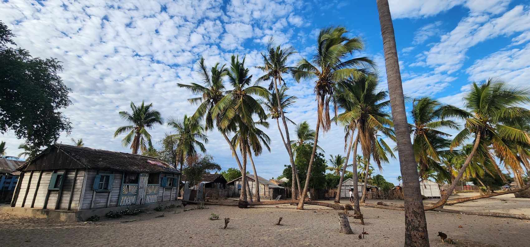 Мадагаскар: киты, пираты, лемуры, мертвецы и каменный лес (7/71)