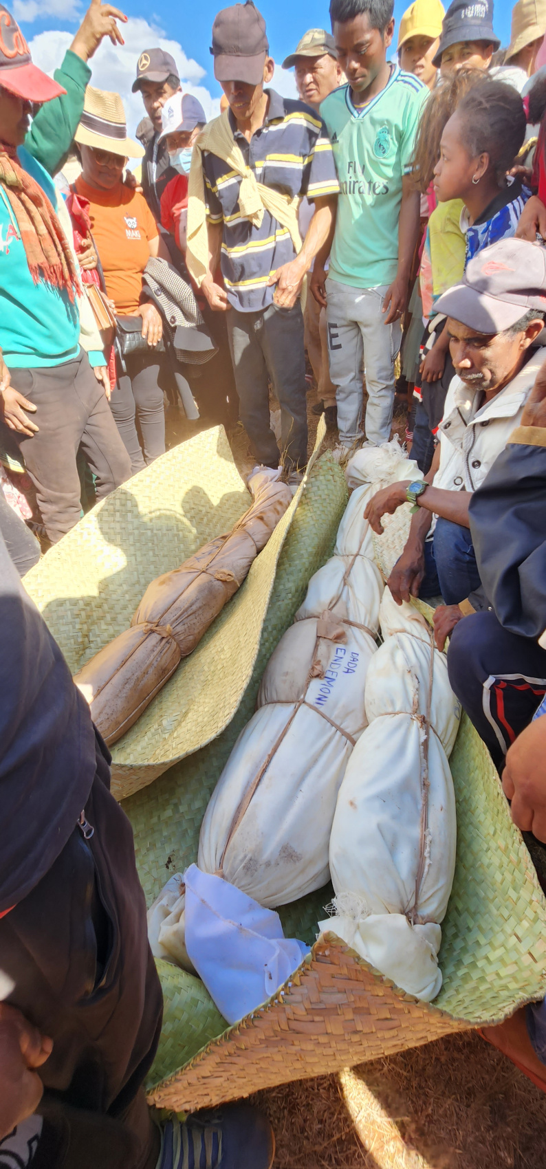 Мадагаскар: киты, пираты, лемуры, мертвецы и каменный лес (10/71)