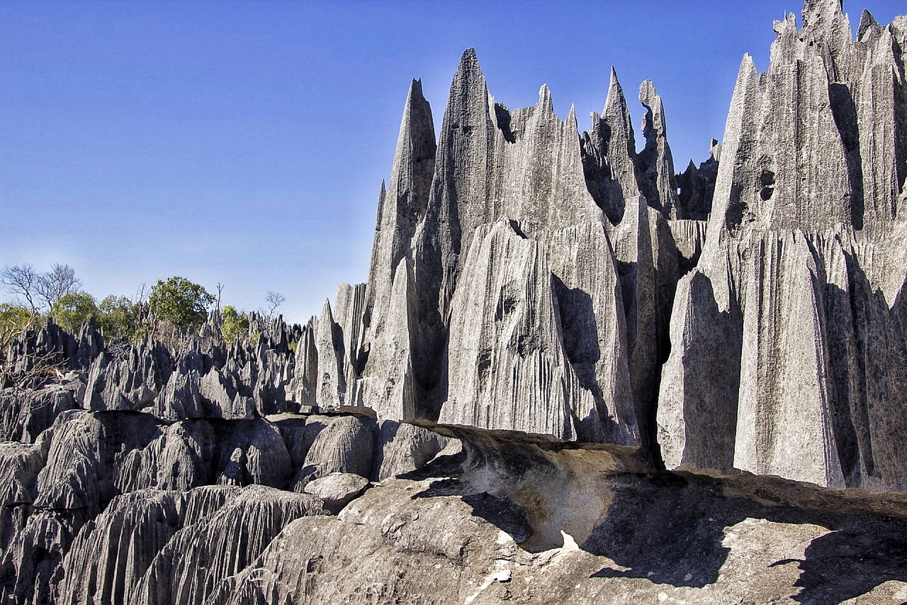 Мадагаскар: киты, пираты, лемуры, мертвецы и каменный лес (3/71)