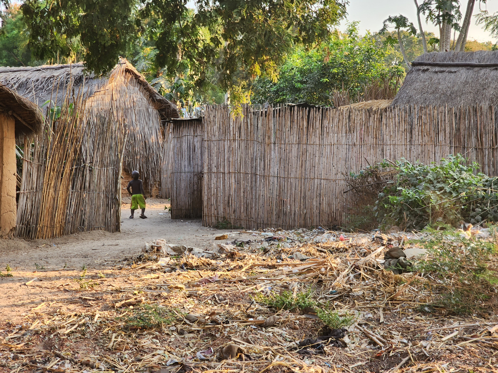 Мадагаскар: киты, пираты, лемуры, мертвецы и каменный лес (8/71)