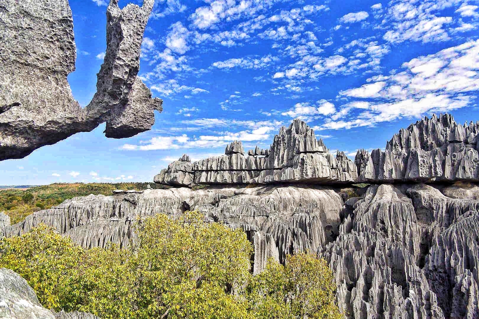 Мадагаскар: киты, пираты, лемуры, мертвецы и каменный лес (14/71)