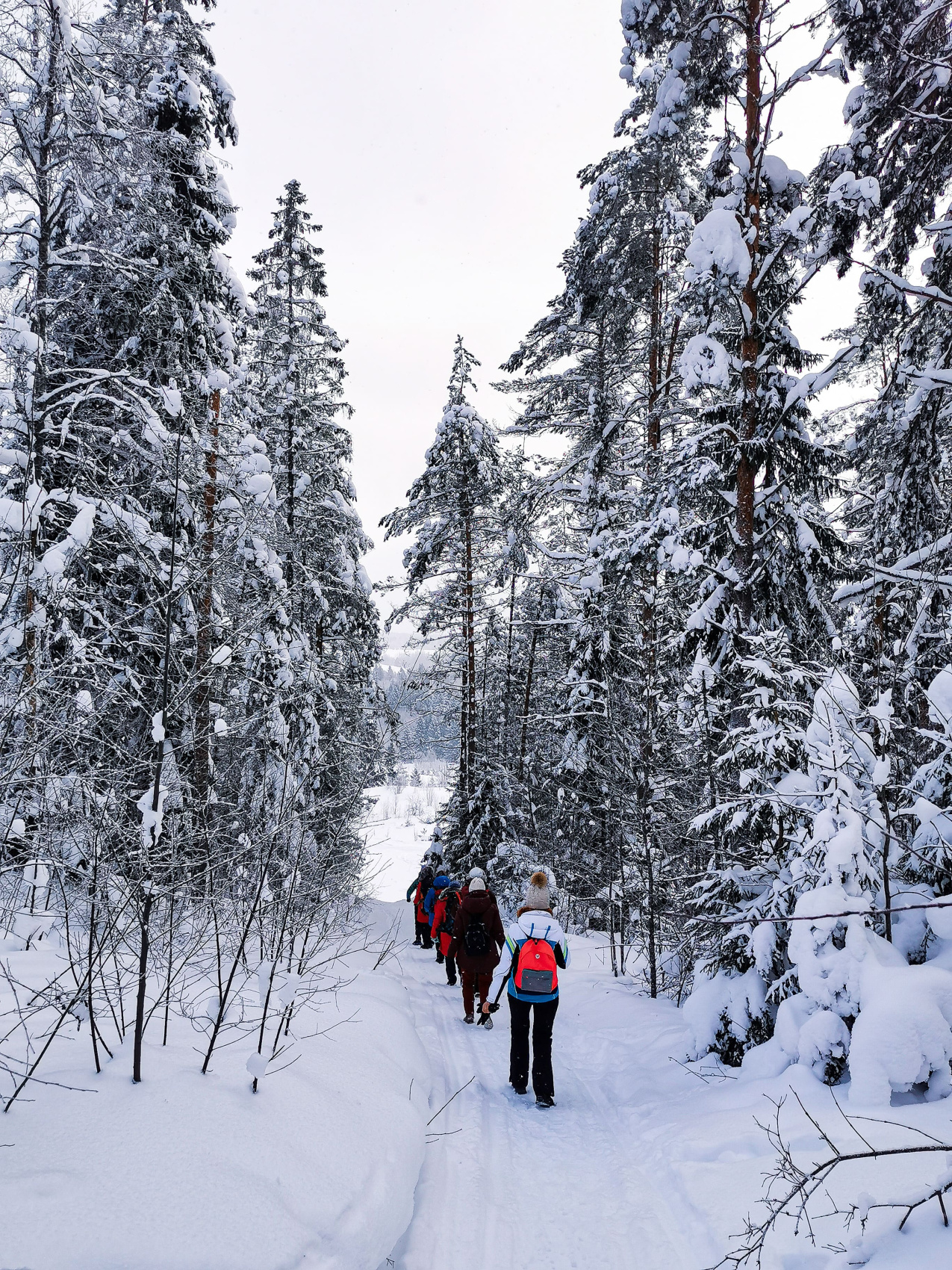 Актив-тур Русский север с проживанием в отеле (10/18)