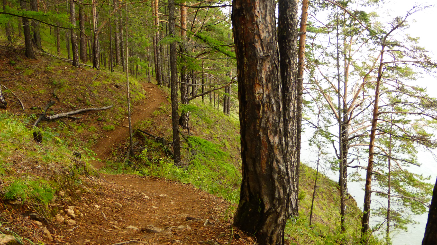 Байкальская тропа и горы Хамар-Дабана (27/49)