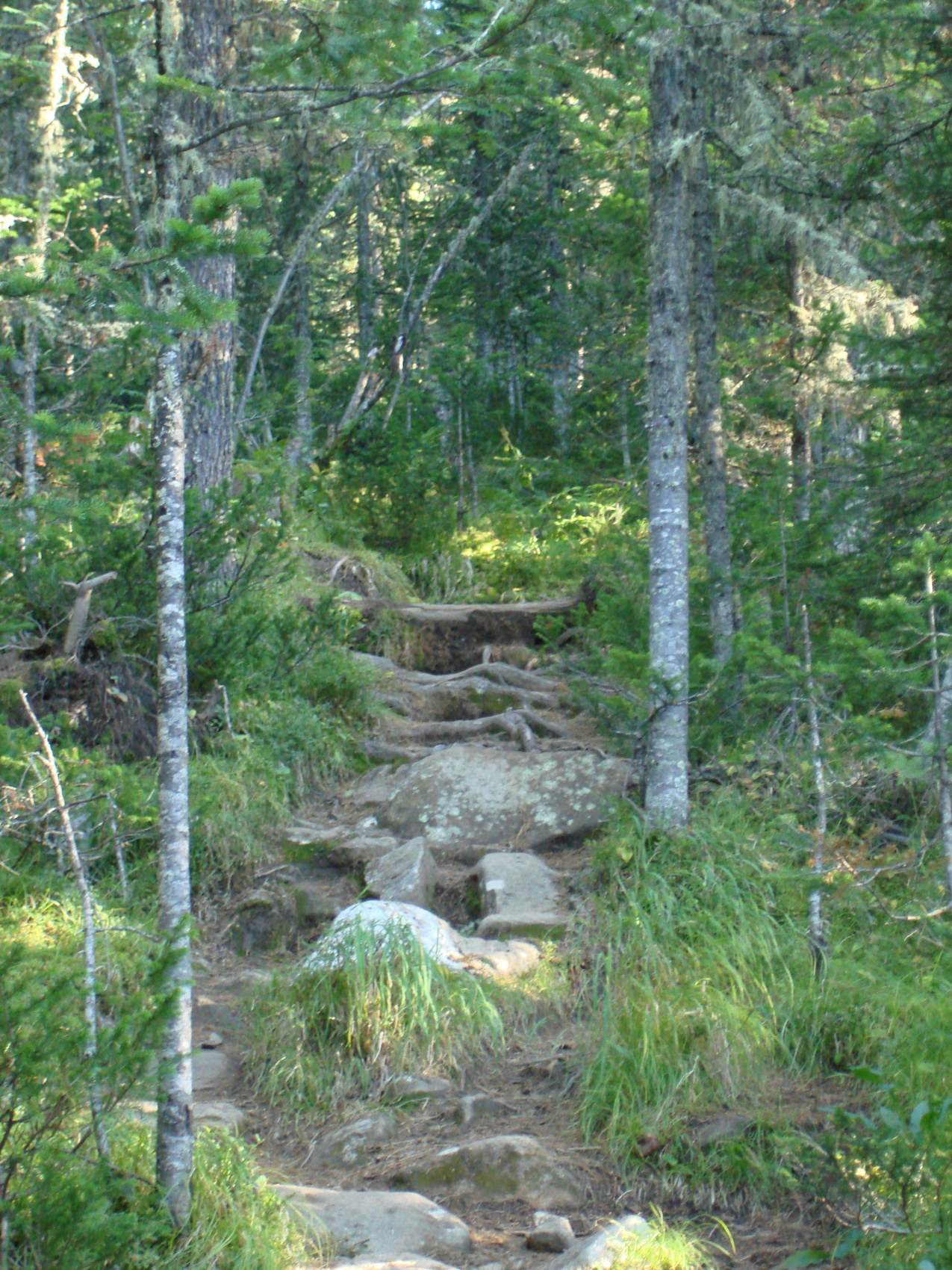 Байкальская тропа и горы Хамар-Дабана (16/49)
