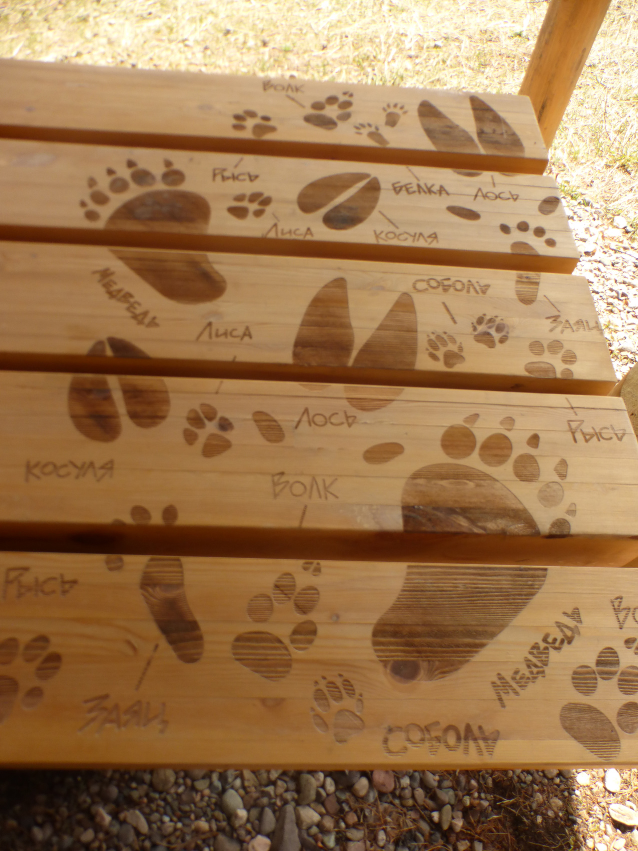 Байкальская тропа и горы Хамар-Дабана (23/49)