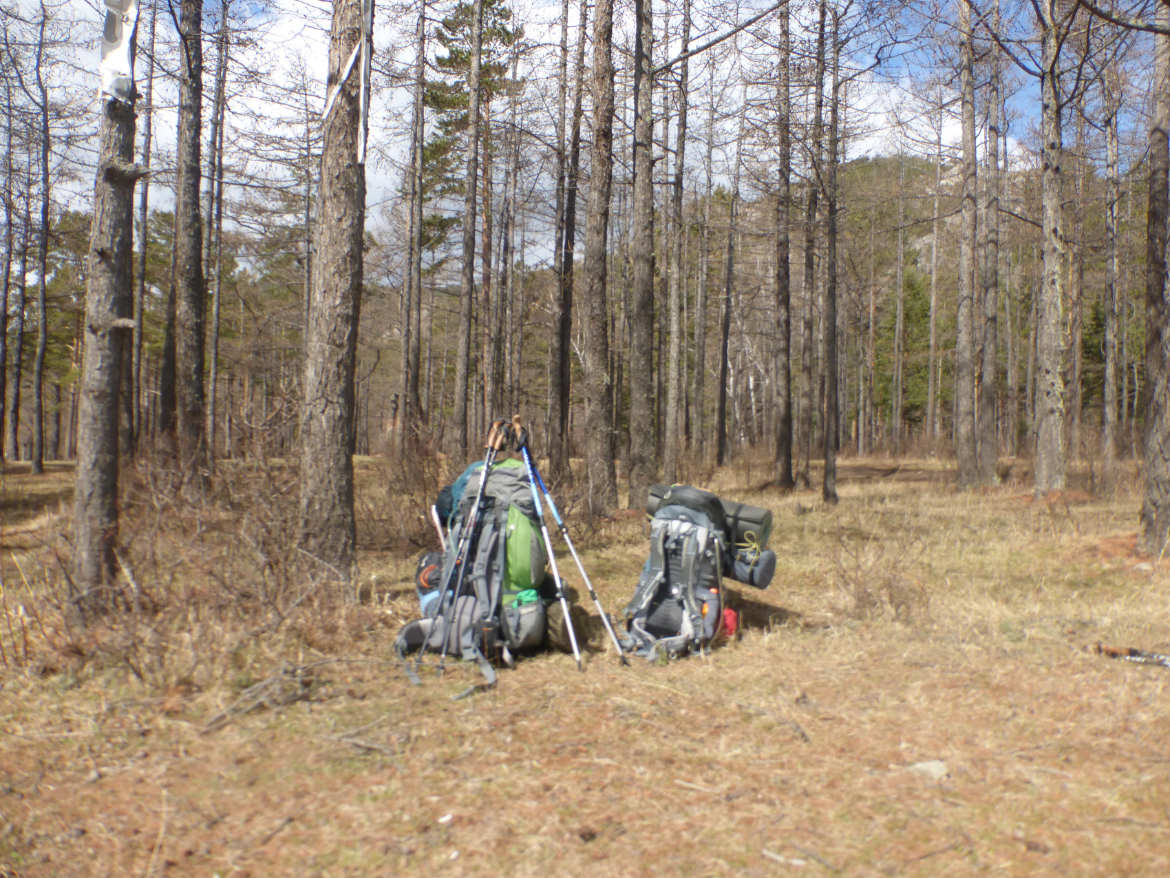 Байкальская тропа и горы Хамар-Дабана (19/49)
