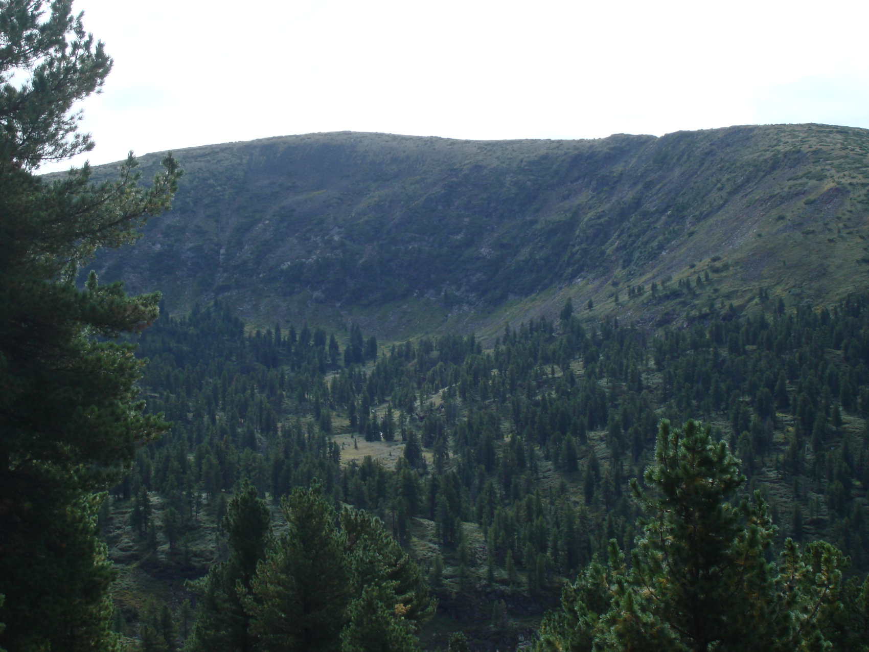 Байкальская тропа и горы Хамар-Дабана (11/49)