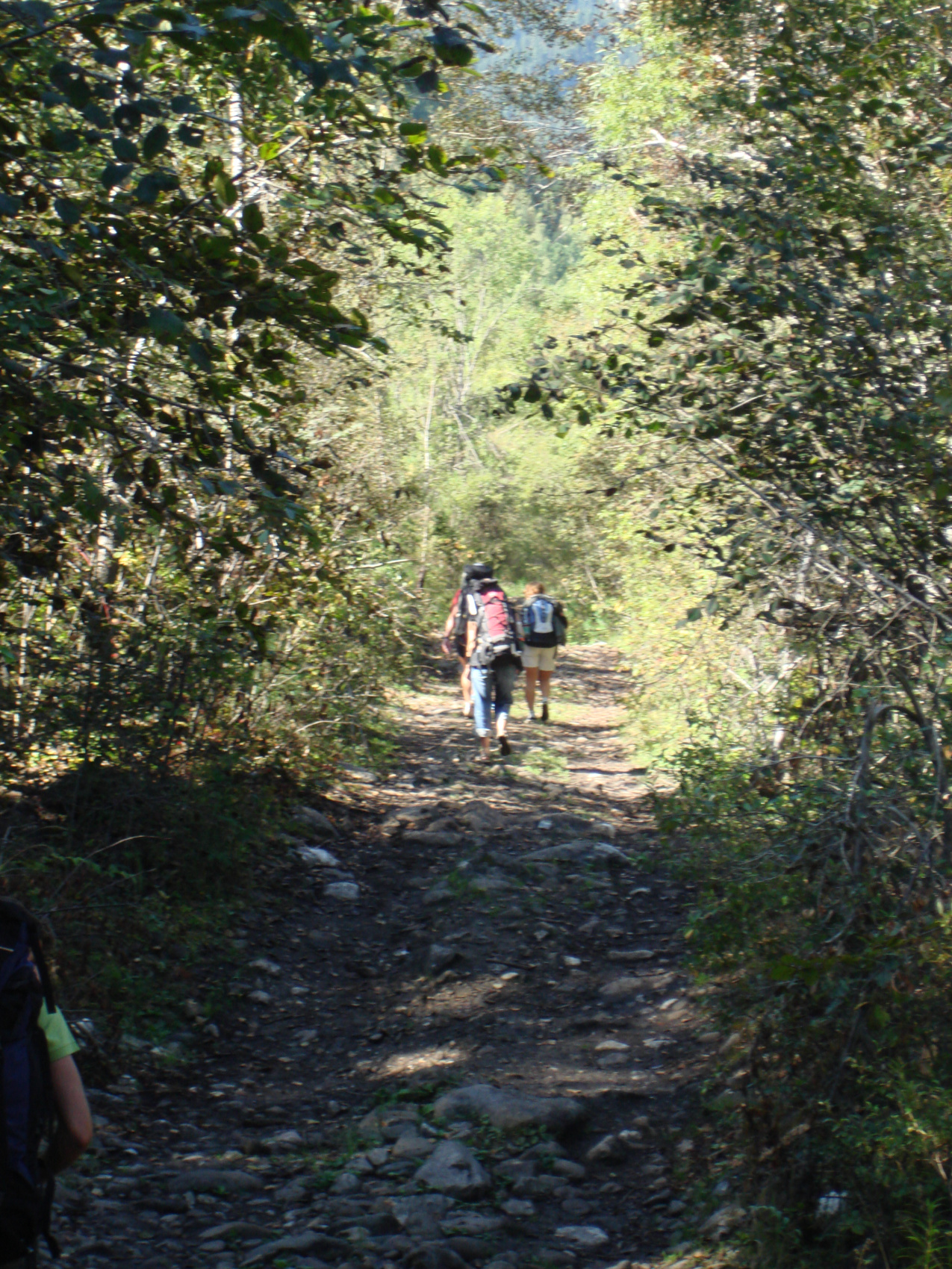 Байкальская тропа и горы Хамар-Дабана (6/49)