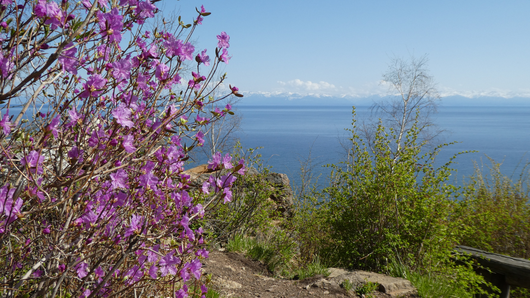 Байкальская тропа и горы Хамар-Дабана (44/49)