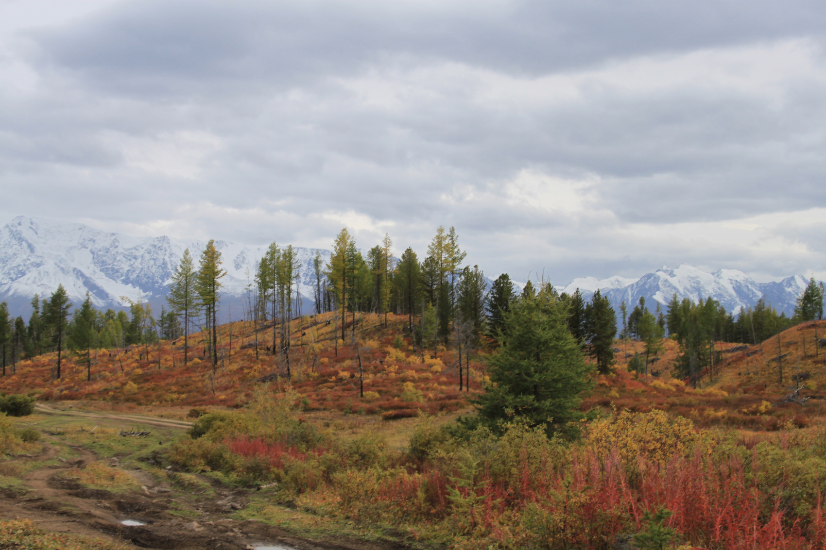 Путешествие в сердце гор  10 дней (4/21)